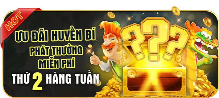 Hoàn trả hàng tuần 88go5