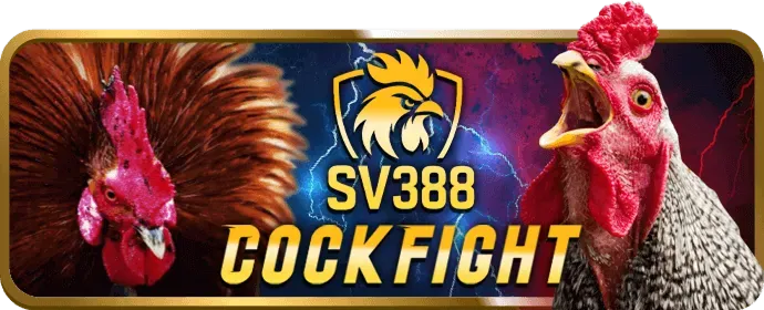 Chính sách Cookie và Quyền riêng tư của tải 88go5